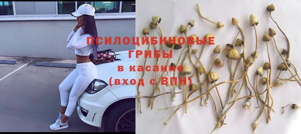ешки Бугульма
