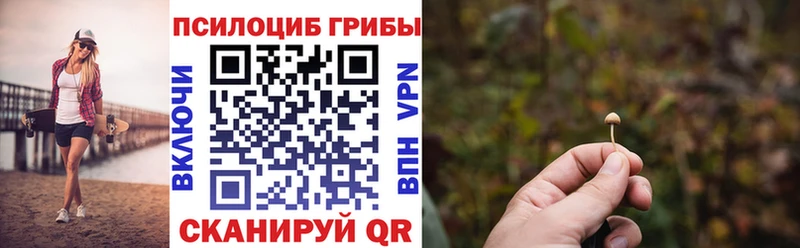 продажа наркотиков  Нелидово  Псилоцибиновые грибы прущие грибы 